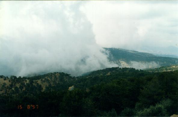 23.jpg (20846 bytes)