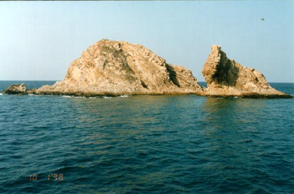 28.jpg (37083 bytes)